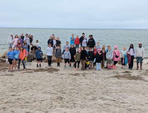Saint Joseph Students Take Classroom Learning to Cape Cod